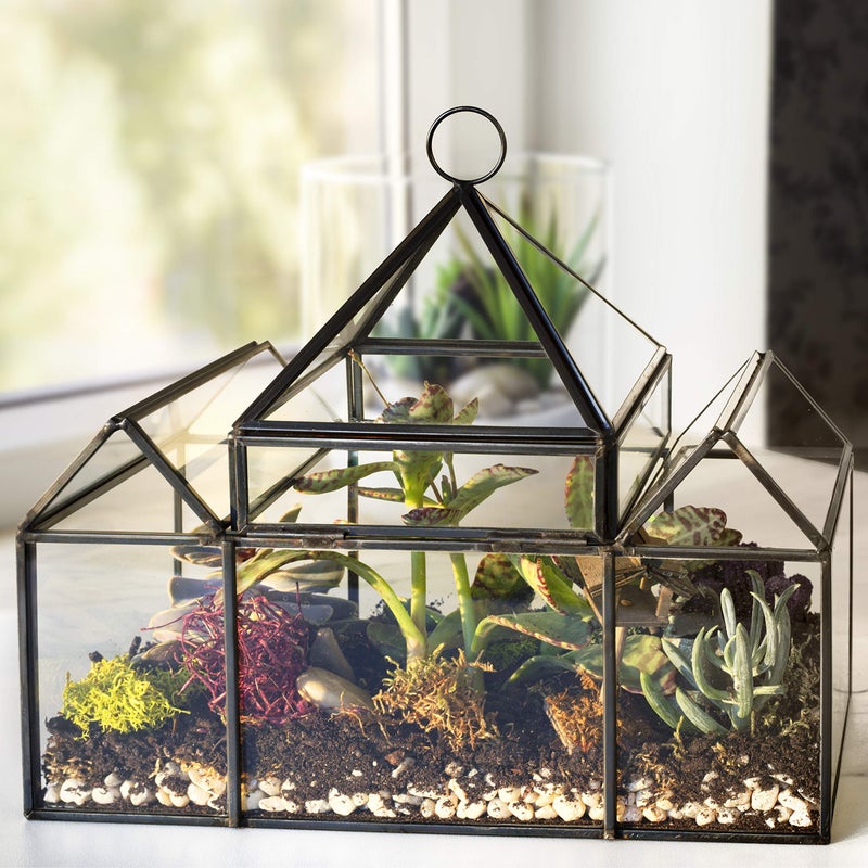 DECO D'Eco Glass Castle Plant Terrarium (10x4.5x9) - Tabletop & Hanging Black Geometric Planter - Succulents, Air Plants, Moss - Summer Home, Garden Office & Wedding Botanical Decor - Gift for Plant Lovers - Image 2